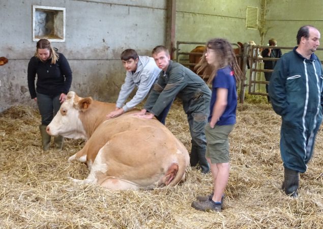 Trophée des lycées de Terre en fête : Les 2nd pro bovins du Lycée de Crézancy gagneront-ils ?