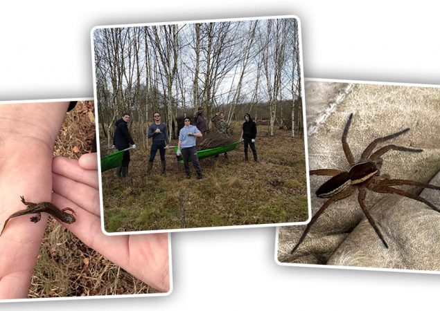 La Réserve Nationale Naturelle de Versigny